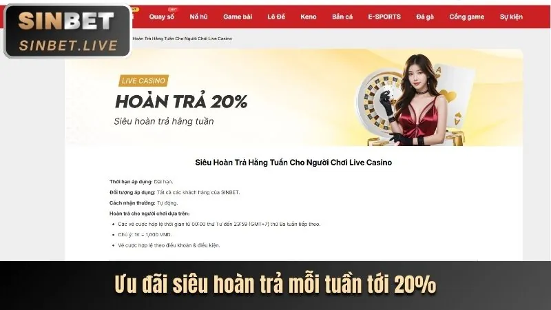 Ưu đãi dành cho thành viên VIP Zbet